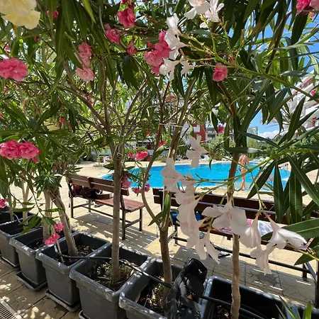 Sea Club & Grant - Flamingo Terrace - Apartment Sveti Vlas