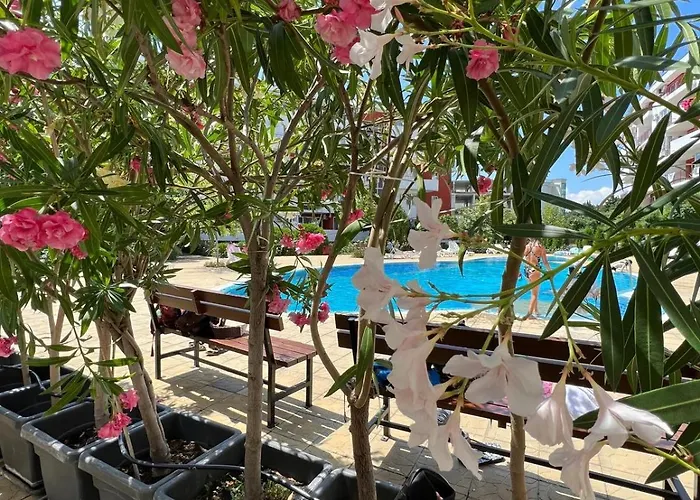 Sea Club & Grant - Flamingo Terrace - Apartament Święty Włas